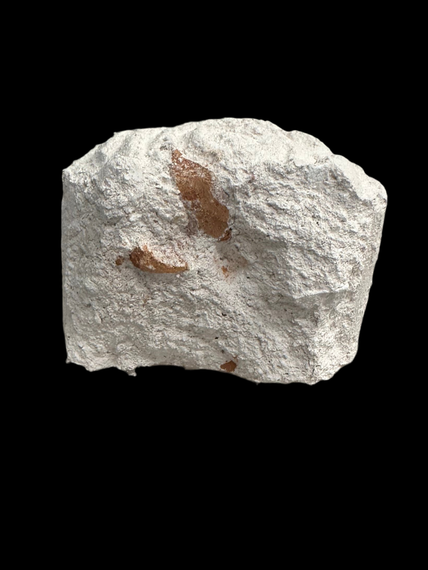 Nevada