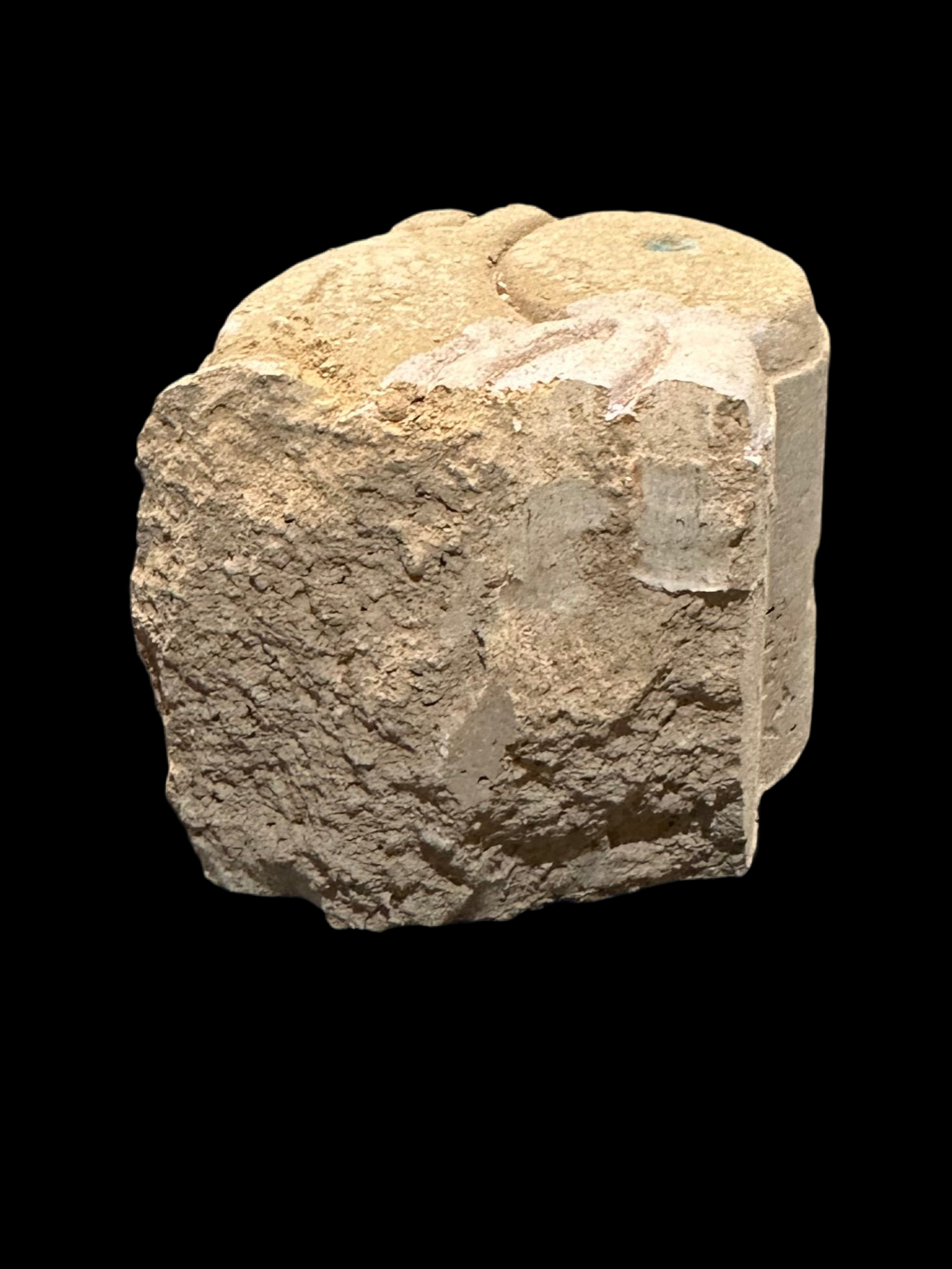 Conejo Turín