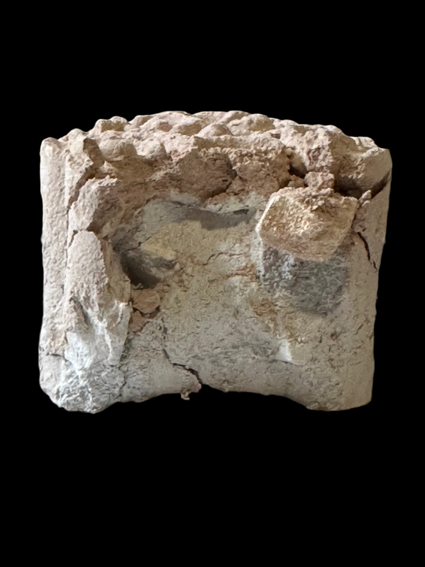 Coqueta