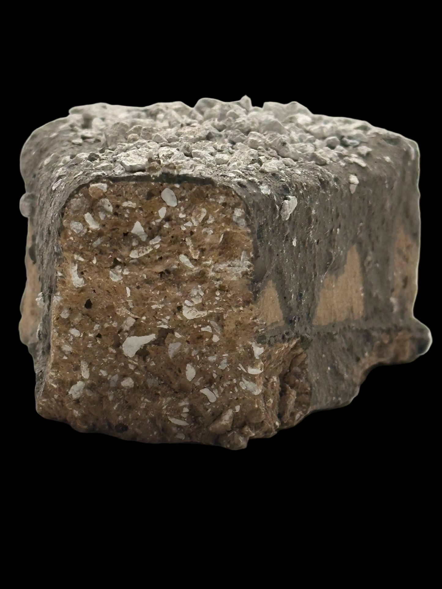 Choco Nut Cake