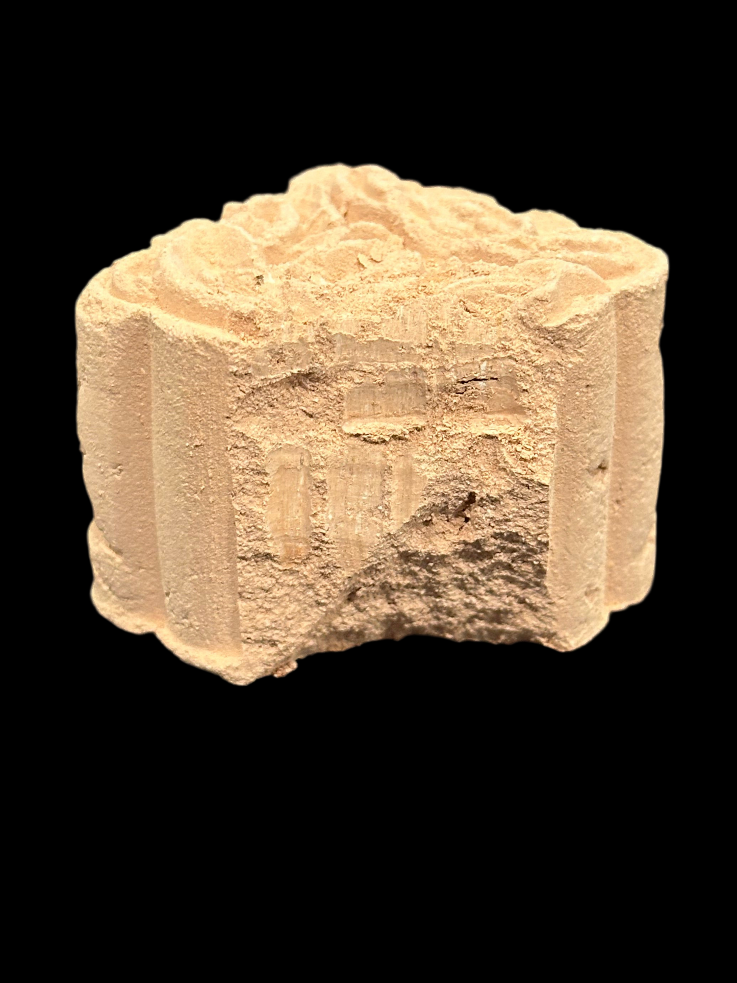 Nucita