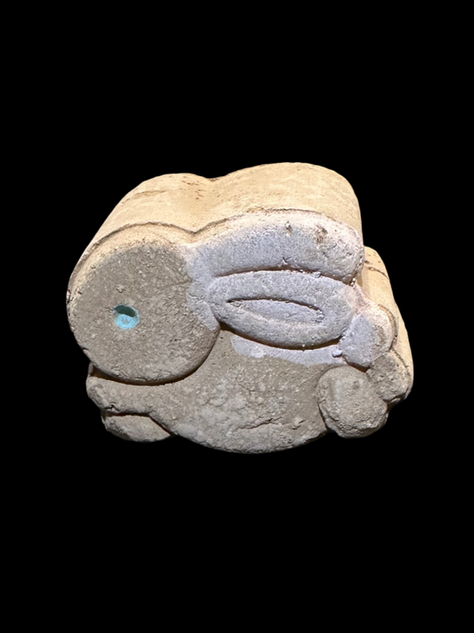 Conejo Turín