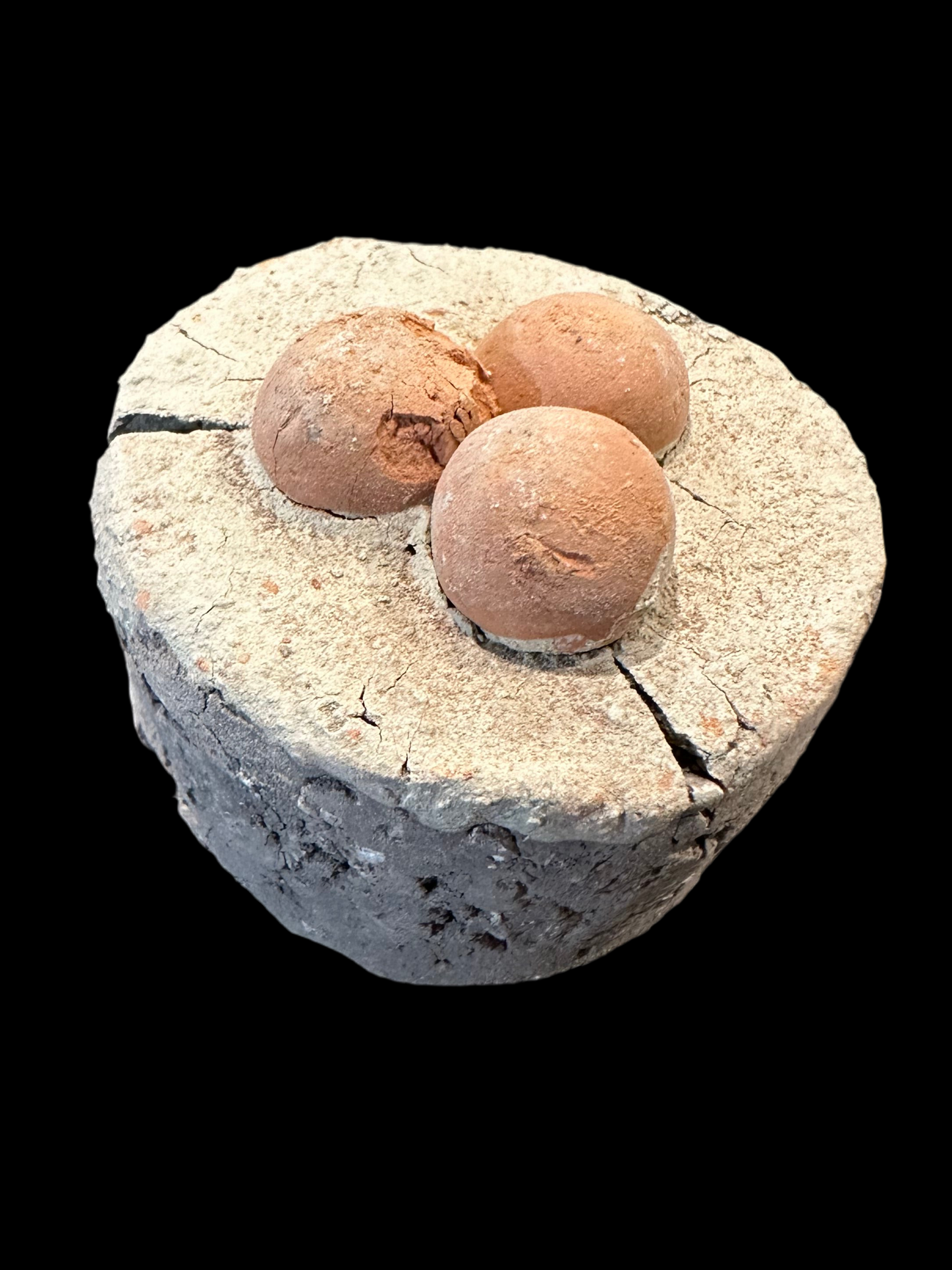 Pastel Nevado