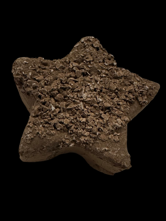 Estrella Rellena