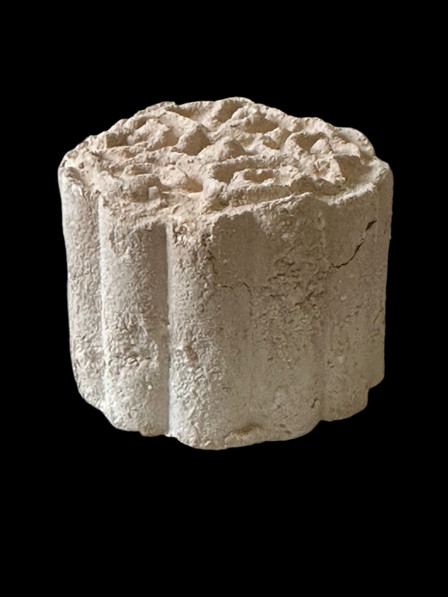 Coqueta
