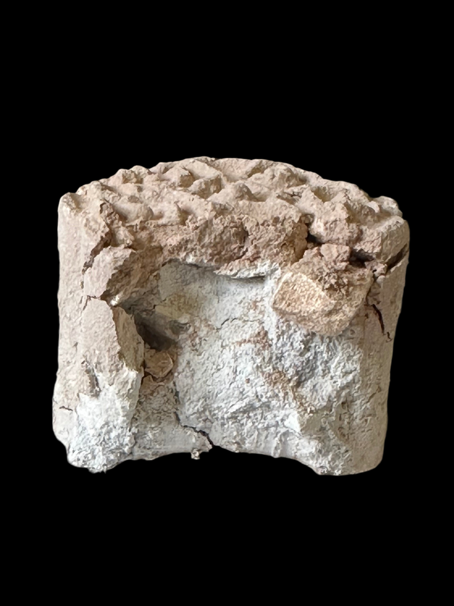 Coqueta
