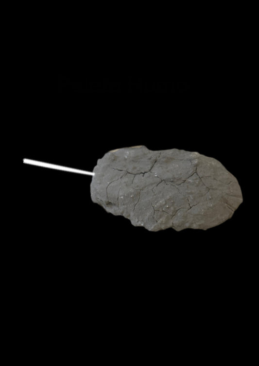Paleta Humo
