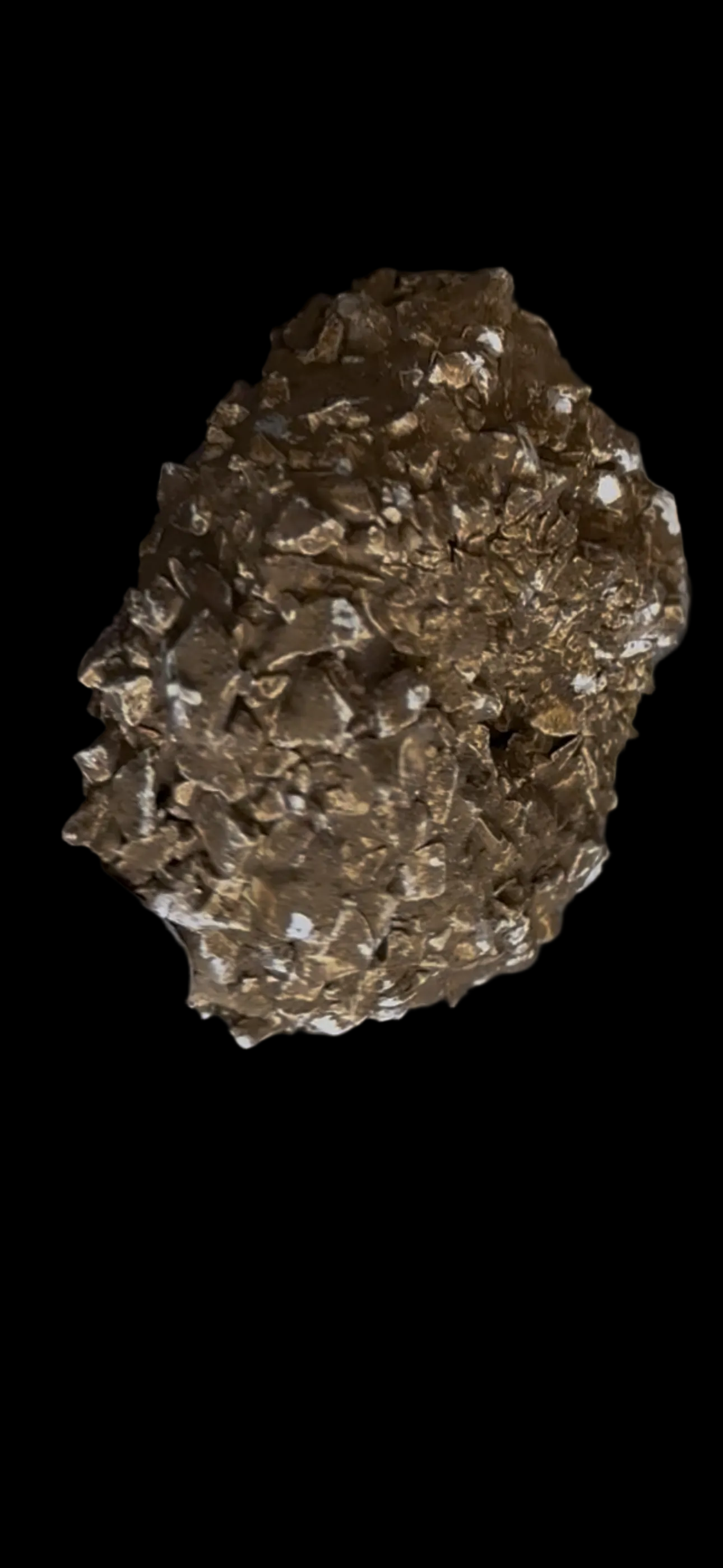 Dona Ferrero