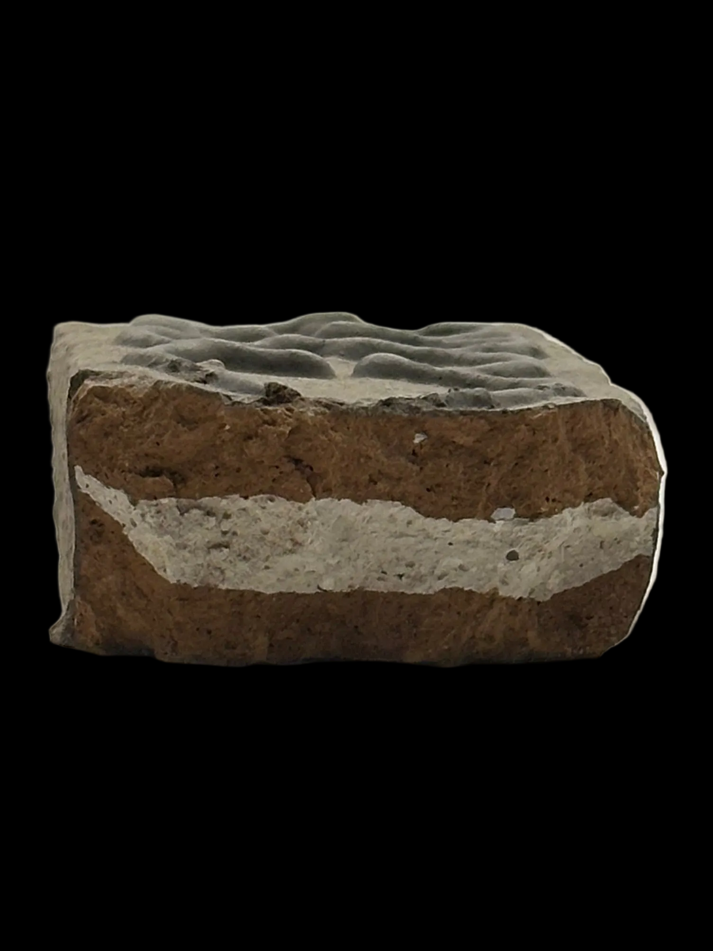 Delice