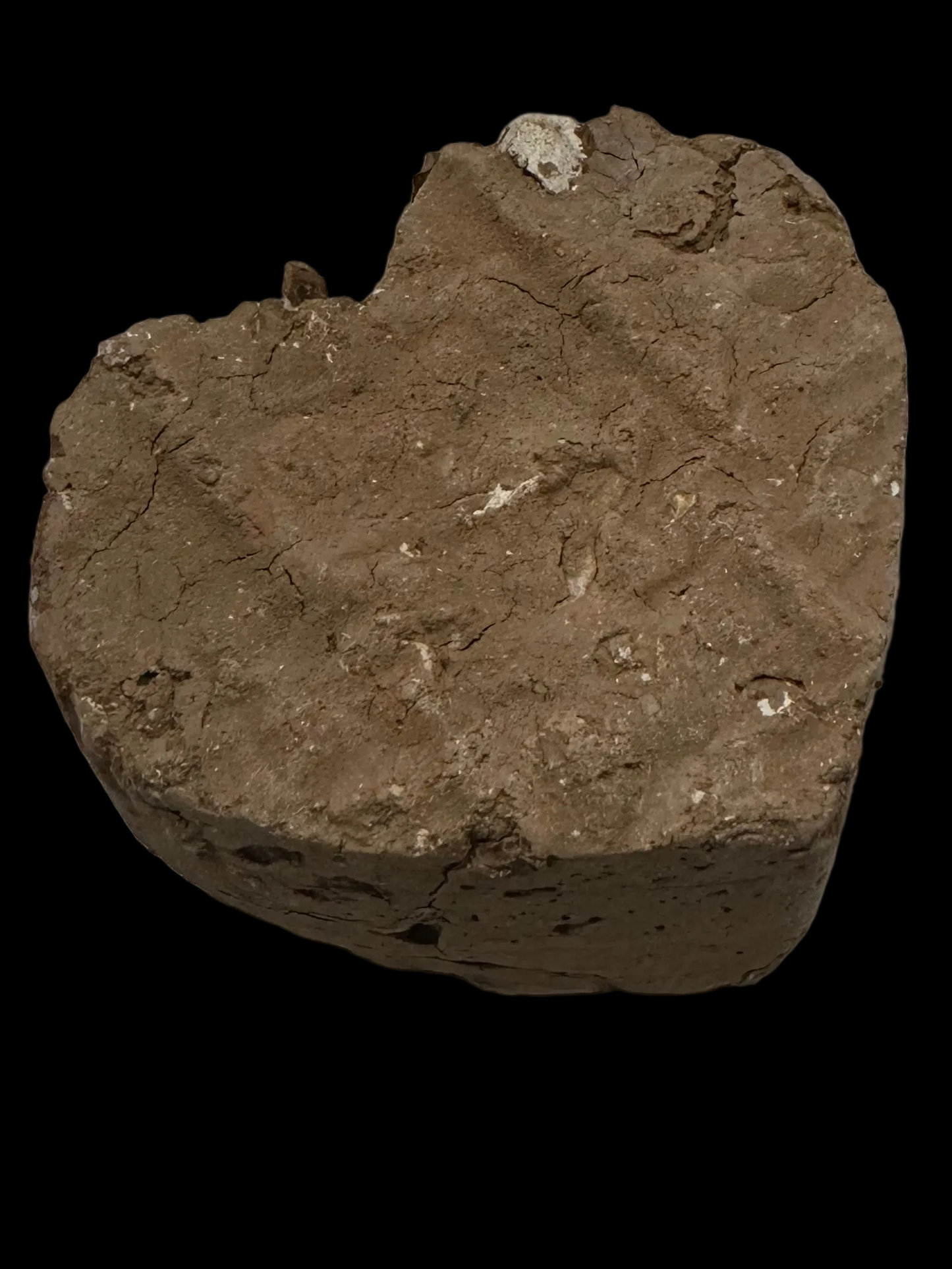 Crunella